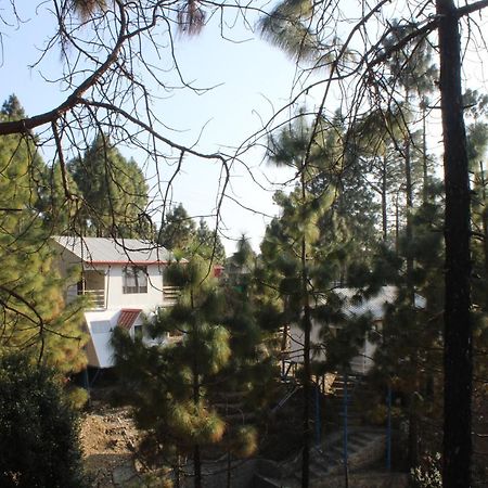 Ghughuti Resort Lansdowne Eksteriør billede